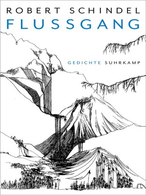 cover image of Flussgang